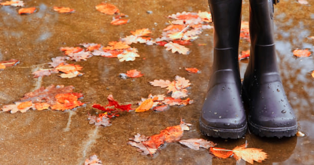 Fall Boots and Bunions