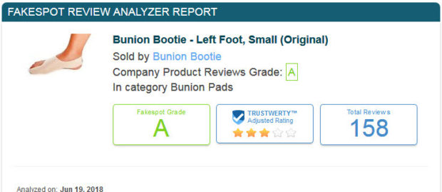 Bunion Splint Review