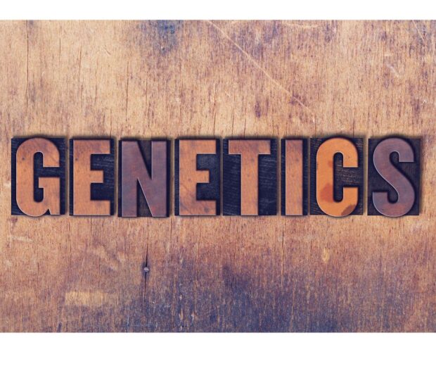 Are Bunions Hereditary?